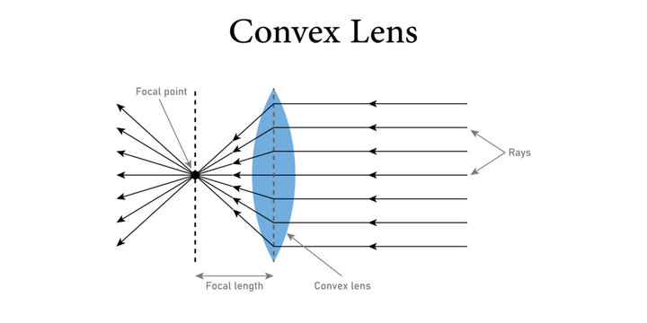Convex lens diagram. Incident and refracted ray. Beam of light through converging lenses. Scientific resources for teachers and students.