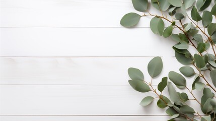 Eucalyptus leaves on a white wooden background