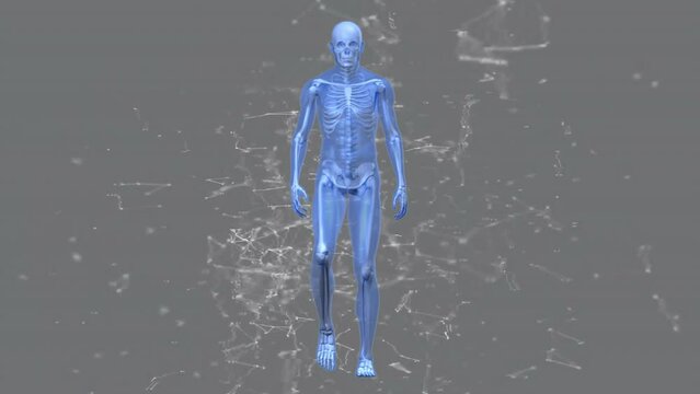 Animation of walking skeleton and shapes on gray background