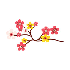 Vector cherry blossom concept illustration background