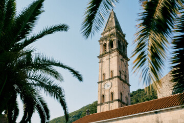 View through palm branches to the high bell tower of the Church of St. Nicholas. Perast, Montenegro