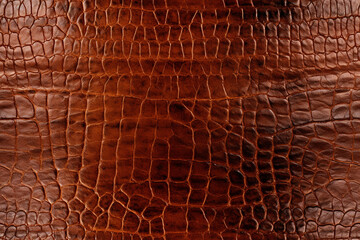 leather tan natural background wall texture pattern seamless