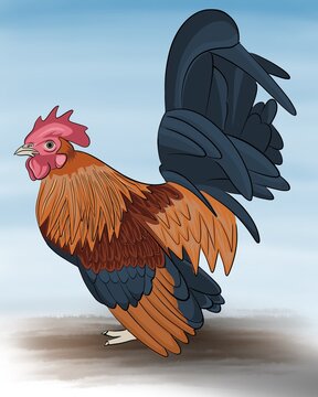 The 3d illustration of Serama chicken also called the ayam Serama or ayam kate