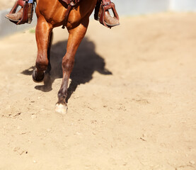 Horse legs trotting in the dirt.  Room for text on the right and bottom of image.   Showing horse...