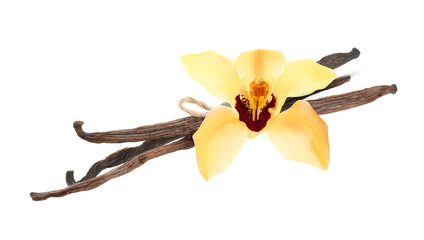 Vanilla pods and yellow flower isolated on white