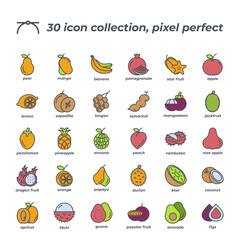 Vector sign of the fruit icon set isolated on a white background. symbol color editable.