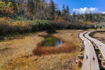 栂池自然園で見た草紅葉に囲まれた小さな池（沼）の情景