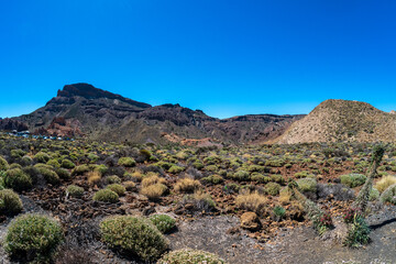 Fototapeta na wymiar Typical volcanic landscape of Tenerife. Canary Islands. Spain.