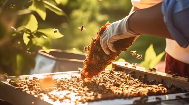 beekeeper's hands gently collecting honeycombs from a beehive on a sunny spring day, with the focus on the honeycombs and the blurred beehive