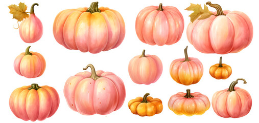 Pink pumpkin watercolor illustration clipart. Generative AI