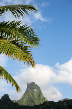 Green tropical mountain in Tahiti 
