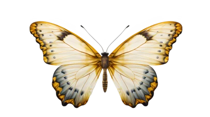 Foto op Plexiglas Nature's Artistry: Colorful Butterfly on Transparent Background © Armen Y