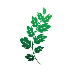 Christmas Floral Decoration