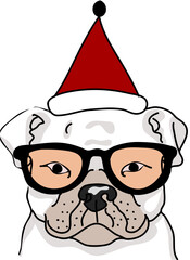 Christmas Picture of a cute dog wearing a Christmas hat. cute dog icon