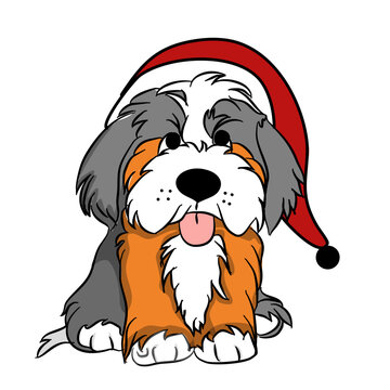 Christmas Picture of a cute dog wearing a Christmas hat. cute dog icon