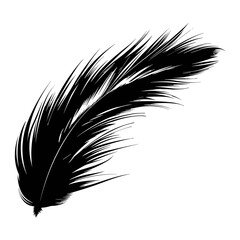 Feather Icon Illustration. Vector SVG © Sulthan Vector