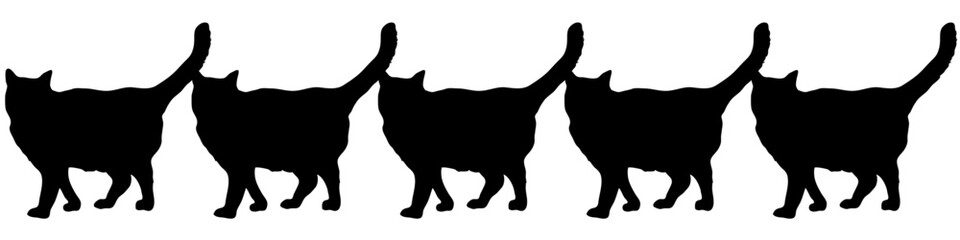 Five black cats in line vector illustrations - silhouettes of the 5 cats isolated on white background-5匹の並んだ黒猫のベクター素材	