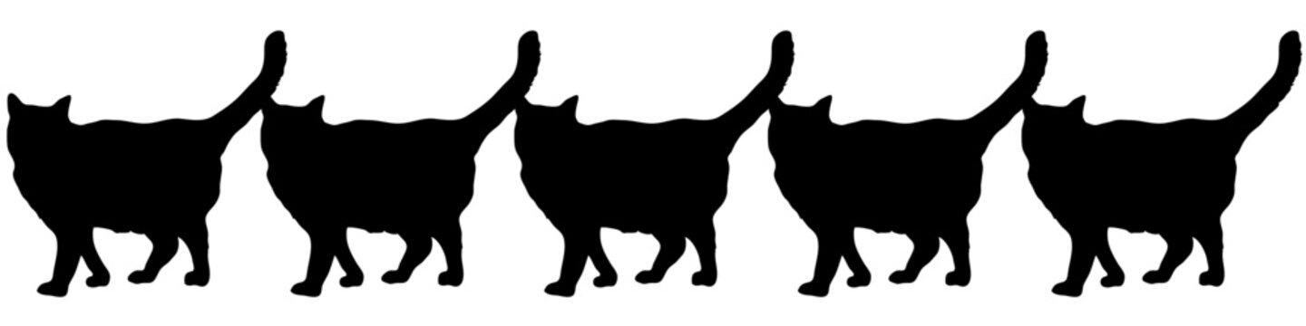 Five black cats in line vector illustrations - silhouettes of the 5 cats isolated on white background-5匹の並んだ黒猫のベクター素材	