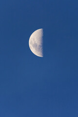 half moon