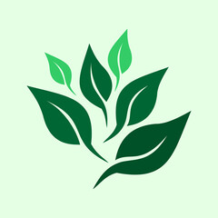 Green leaves vector illustration. The design element is a collection of vector green leaves. Can be used for logos or simple graphic design elements.