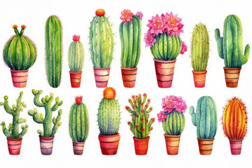 Plant cactus nature floral succulent desert illustration botanical green flower