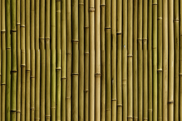 bamboo green natural background wall texture pattern seamless