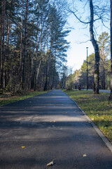Walking path in a city park. Pedestrian path made of asphalt in the forest. Place for walks, relaxation and sports