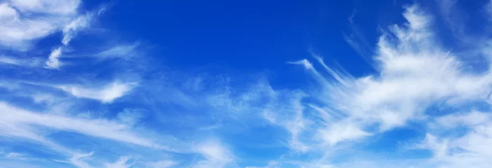 Foto auf Alu-Dibond White сirrus clouds clear blue sky panorama background, cirrostratus cloud, fluffy cumulus clouds, cloudy skies texture, cloudscape backdrop, sunny heaven, cloudiness weather, ozone layer, copy space © Vera NewSib