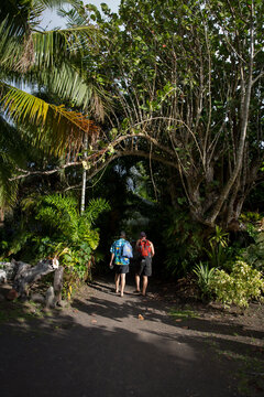Two friends walk down a tropical path in Tahiti 