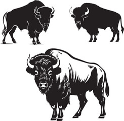 Bison silhouette vector A set of 3 bison vectors on white background © Qurban Vector & Ai