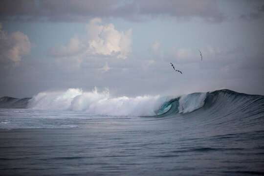 Waves in the sunset with birds flying over in Tahiti on a tropical island 