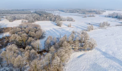 Fotobehang Blauwe hemel Winter landscape - white trees covered with hoarfrost - aerial view  © Piotr Krzeslak