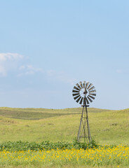 Vintage Windmill on a Prairie Surrounded by Native Sunflowers in the Sandhills of Nebraska