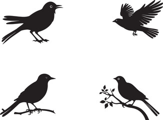 Cuckoo bird vector silhouettes on white background