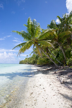 A tropical  beach in Tahiti on a remote island with crystal clear waters 