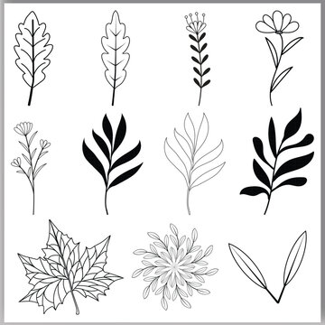 Set of botanical line art floral leaves plants hand drawn sketch branches isolated on white vector