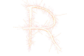 Obraz premium Digital png illustration of r letter on transparent background