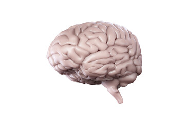 Digital png illustration of 3d model of brain on transparent background