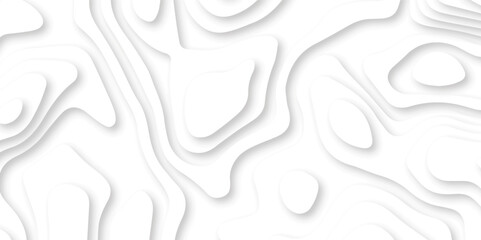 Abstract wavy line 3d paper cut white background. Topographic canyon geometric map relief texture with curved layers and shadow. Abstract realistic papercut decoration textured with wavy layers	
