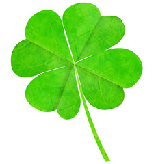 Digital png illustration of four-leaf clover on transparent background
