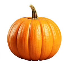 Obraz premium Photo of fresh pumpkin. 