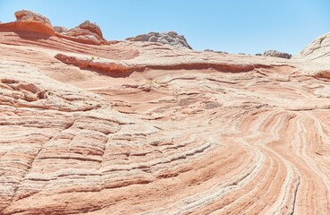 The extraordinary White Pocket in northern Arizona is one of the world's most unique geologic wonders