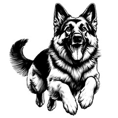 Happy German Shepherd dog jumping. Hand Drawn Pen and Ink. Vector Isolated in White. Engraving vintage style illustration for print, tattoo, t-shirt, sticker