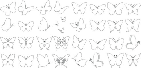 butterfly outline vector illustration Set - obrazy, fototapety, plakaty