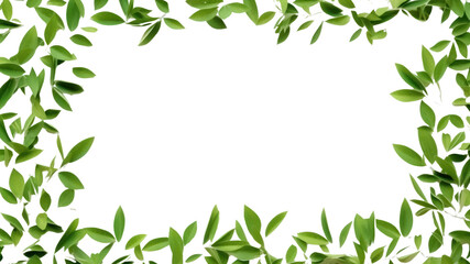 Frame it with cute green leaves that grow into small patterns. and swaying in the wind Collection of green leaves on transparent background. Isolated.