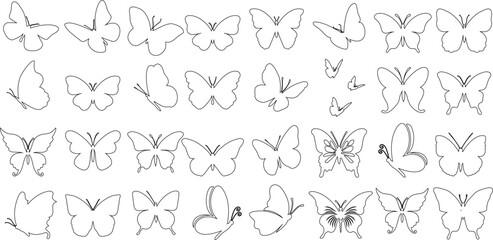 Butterfly outline, butterfly line art, vector illustration, Elegant, delicate butterflies for spring, summer. Perfect for wallpaper, fabric, textile print. Modern, trendy style for home decor