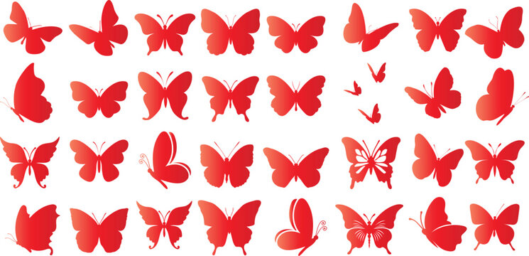 Red butterfly vector illustration with intricate details and vibrant colors. butterflies are Perfect for nature designs, textile patterns, decor. butterfly is a symbol of beauty, elegance, playfulness