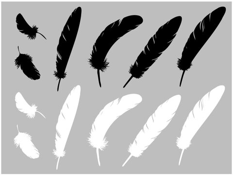 羽のシルエット バラエティ ホワイト＆ブラック
