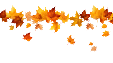 realistic falling leaves Autumn leaves on transparent background. Isolated.