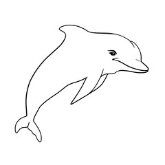 Illustration of a small dolphin. Outline of dolphin poop on a white background for coloring
